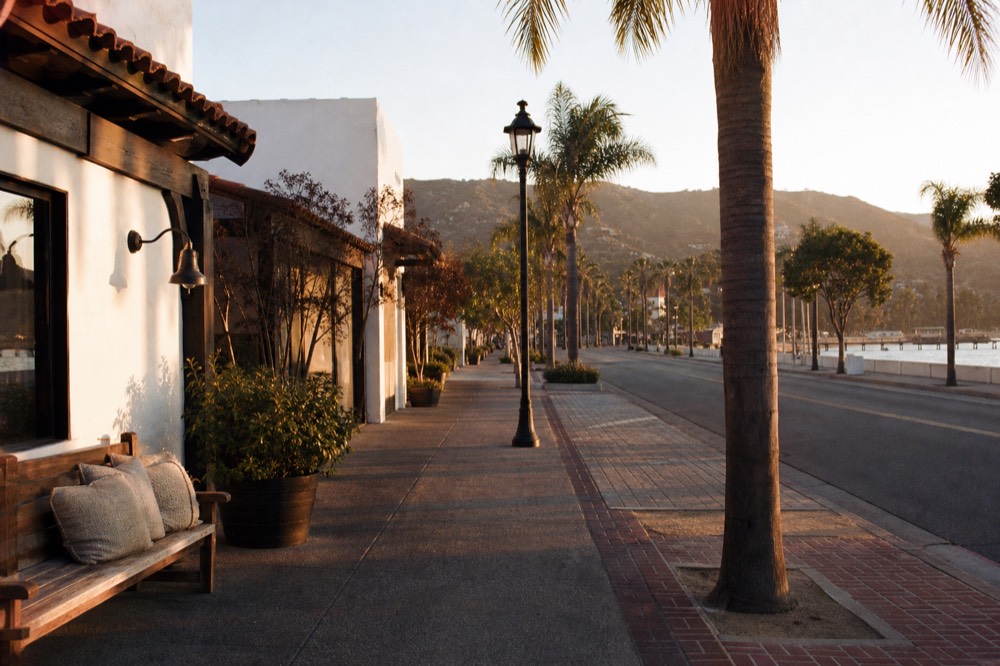 A compact downtown street of low tasting-room storefronts near a waterfront with palm trees and hills in the distance, no text, no logos, no people