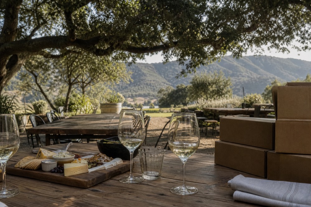 A relaxed outdoor tasting patio with wine glasses, a shared cheese board and a small stack of boxed bottles ready to carry out, dappled afternoon light, no text, no logos, no people
