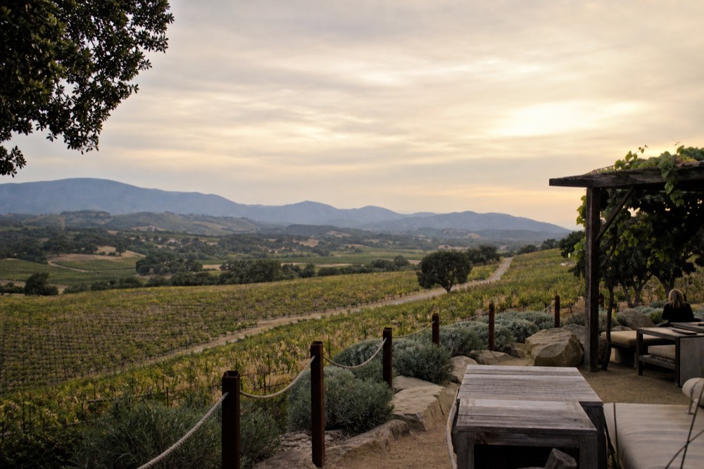 A hilltop view over rolling vineyard rows and oak trees with distant blue mountains under a wide golden sky, no text, no logos, no people