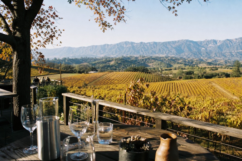 A hilltop tasting terrace with wooden tables looking out over golden vineyard rows to distant blue mountains, no text, no logos, no people