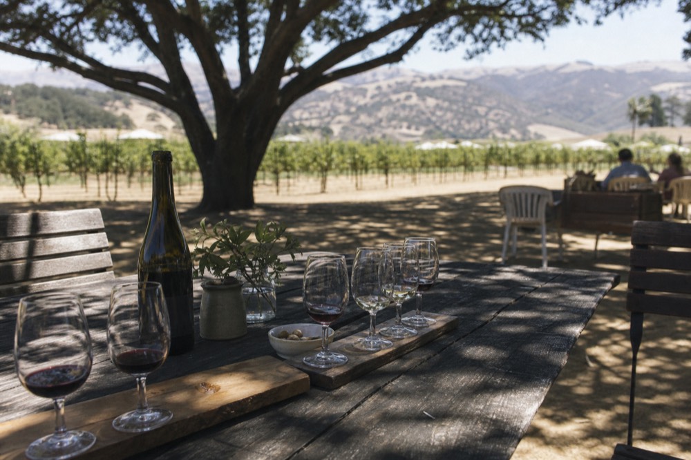 A rustic wooden table on a shaded vineyard patio set with a private tasting flight of glasses and a bottle, vines beyond in soft light, no text, no logos, no people
