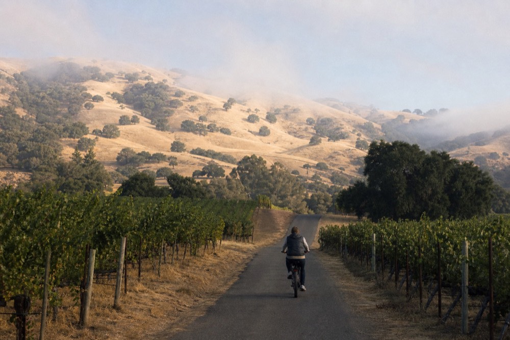 A rider on an electric bike coasting along a quiet lane between rows of vines with oak-dotted golden hills behind, no text, no logos, no people