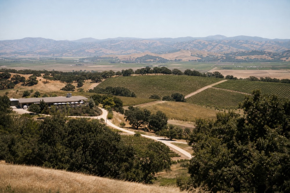 A high vantage looking down over patchwork vineyard blocks and oak-dotted hills in the inland Santa Ynez Valley under clear light, no text, no logos, no people