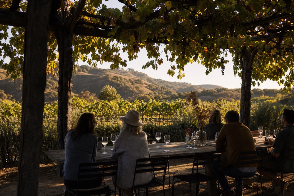 A small group seated at a long wooden table under a vineyard trellis sharing tasting glasses in dappled afternoon light, no text, no logos, no people