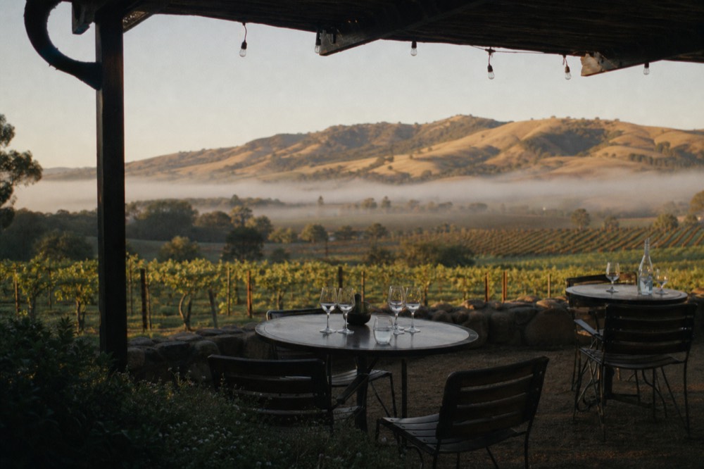 A small seated tasting table set with glasses on a shaded patio overlooking fog-touched vineyard rows, no text, no logos, no people